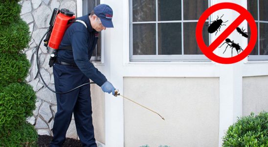 Küçükyalı Kemirgen İlaçlama böcek ilaçlama ve haşere kontrolü — ilaclama-tr.com